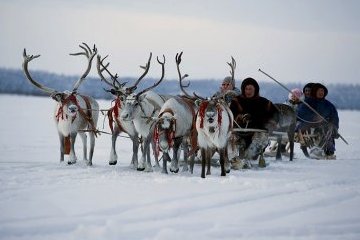 Ямало-Ненецкий автономный округ: Мамонтенок Люба, неделя в тундре и северное сияние: арктический туризм на Ямале Ямало-Ненецкий автономный округ: Мамонтенок Люба, неделя в тундре и северное сияние: арктический туризм на Ямале