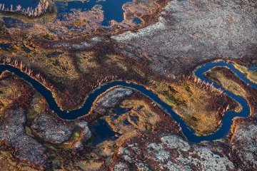 Тюменская область: Тюменские ученые с коллегами из ФРГ и Румынии изучат влияние изменения климата на мерзлоту Тюменская область: Тюменские ученые с коллегами из ФРГ и Румынии изучат влияние изменения климата на мерзлоту