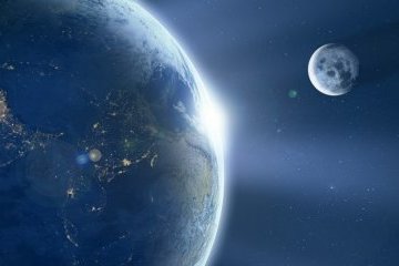 Мир: Опубликовано видео первого биологического эксперимента на Луне Мир: Опубликовано видео первого биологического эксперимента на Луне