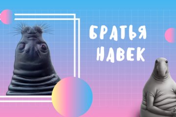 Россия: Из тюленя в мем