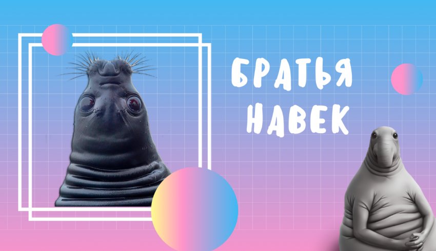 Россия: Из тюленя в мем Россия: Из тюленя в мем