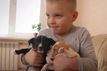 Республика Северная Осетия - Алания: Маленький Ваня - спаситель животных Республика Северная Осетия - Алания: Маленький Ваня - спаситель животных