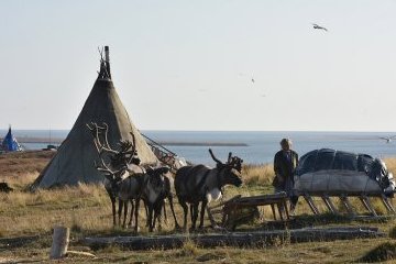 Красноярский край: Этнолагерь открывается в Норильске для знакомства детей с культурой и промыслам северян Красноярский край: Этнолагерь открывается в Норильске для знакомства детей с культурой и промыслам северян