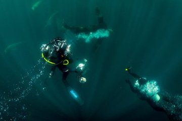 Ученые впервые за 30 лет проведут глубоководную съемку в Охотском море Ученые впервые за 30 лет проведут глубоководную съемку в Охотском море