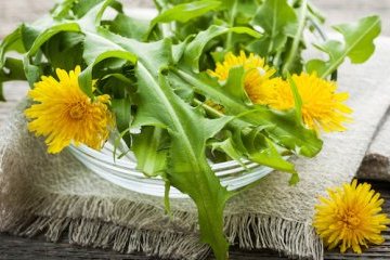 Ученые рассказали о самой лечебной майской зелени Ученые рассказали о самой лечебной майской зелени
