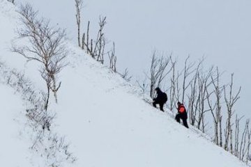 Санкт-Петербург: В петербургском университете защитили дипломы студенты, обучавшиеся у сахалинского ученого Санкт-Петербург: В петербургском университете защитили дипломы студенты, обучавшиеся у сахалинского ученого