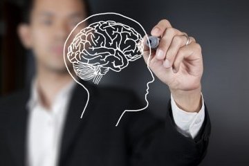 Можно ли пересадить память Можно ли пересадить память
