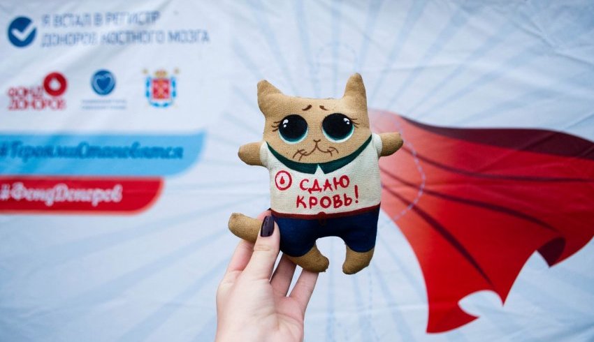 «Фонд Доноров» примет участие в VK Fest «Фонд Доноров» примет участие в VK Fest