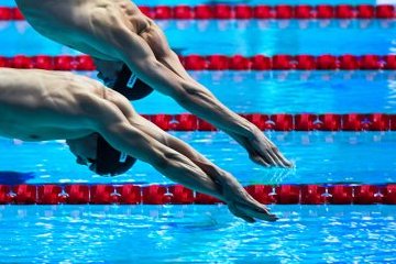 Московская область: Подмосковные спортсмены завоевали 15 медалей чемпионата мира по водным видам спорта Московская область: Подмосковные спортсмены завоевали 15 медалей чемпионата мира по водным видам спорта