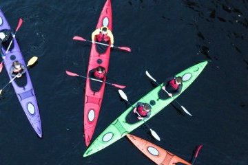 В Северной столице пройдёт фестиваль гребли «Морская миля» В Северной столице пройдёт фестиваль гребли «Морская миля»