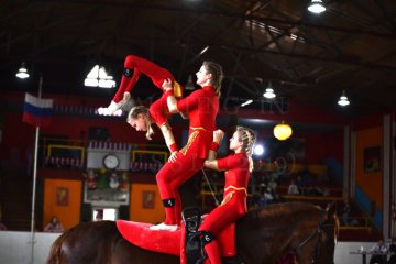 Ленинградская область: Юные спортсмены заняли призовые места во Всероссийских соревнованиях по вольтижировке Ленинградская область: Юные спортсмены заняли призовые места во Всероссийских соревнованиях по вольтижировке