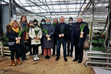 Калужская область: Собираем тюльпаны для Якутии