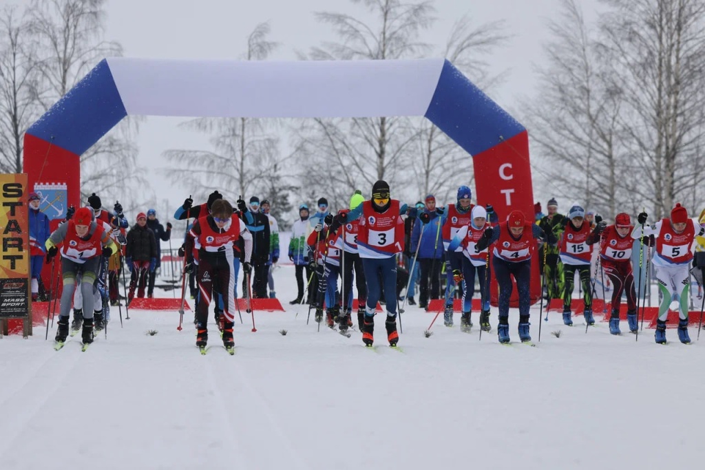 Добрые новости недели Добрые новости недели