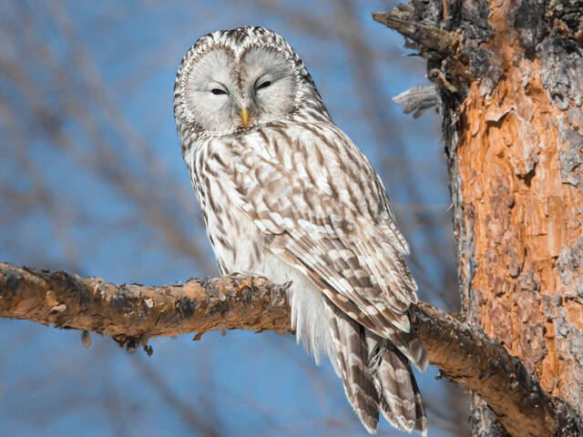 Добрые новости недели Добрые новости недели