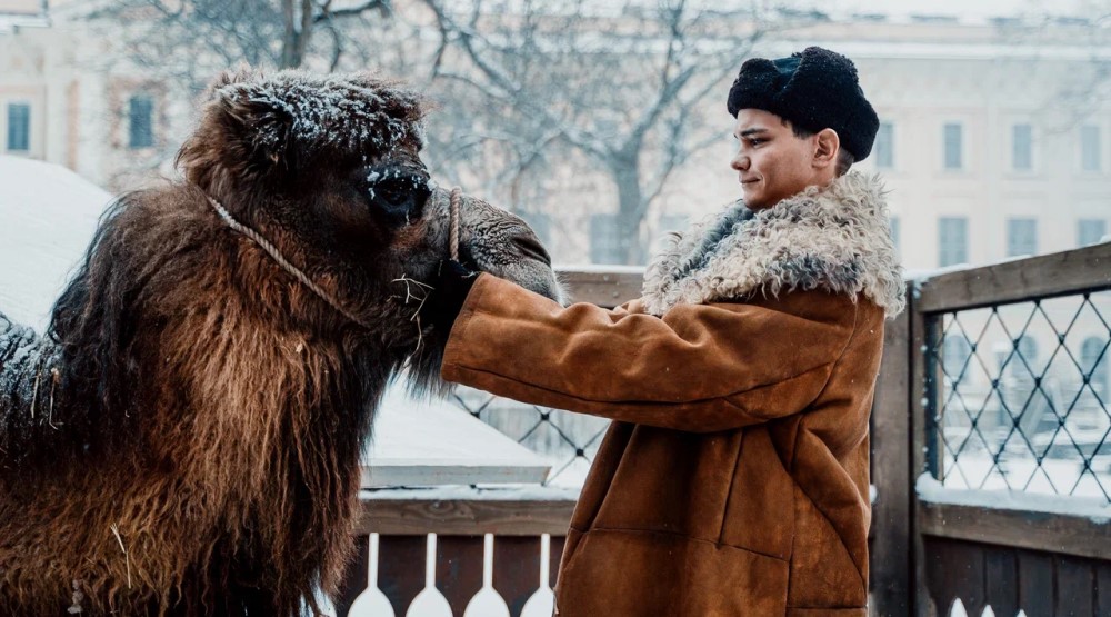 «Красавица»: блокадный Ленинград глазами бегемота