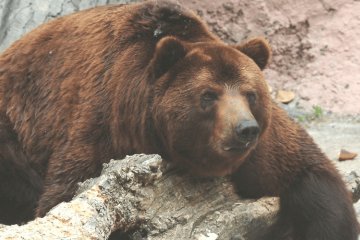 Санкт-Петербург: Добрые новости недели