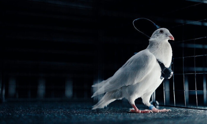 Добрые новости недели